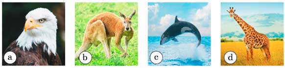  английский язык 4 класс учебник Биболетова, страница 46, номер 41. (2020).