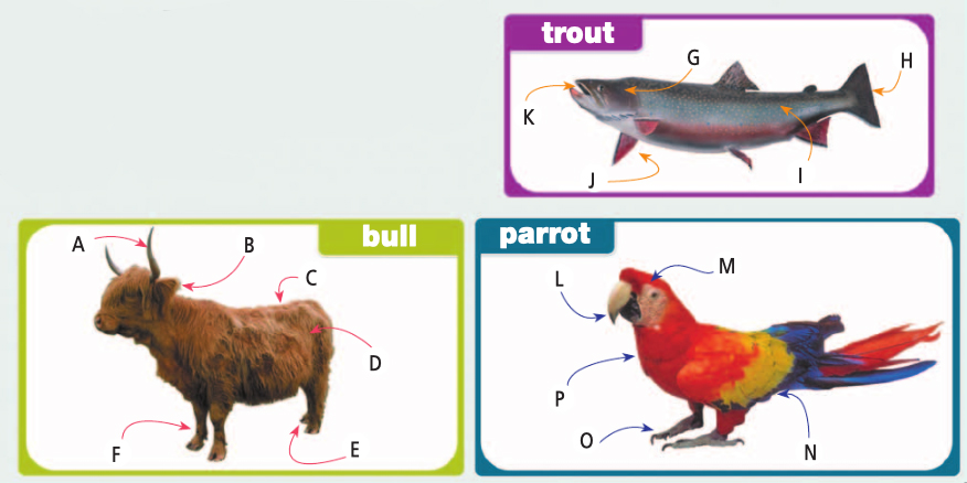 Английский язык 5 класс учебник Баранова, Дули страница 133, номер 7. Год 2023.
