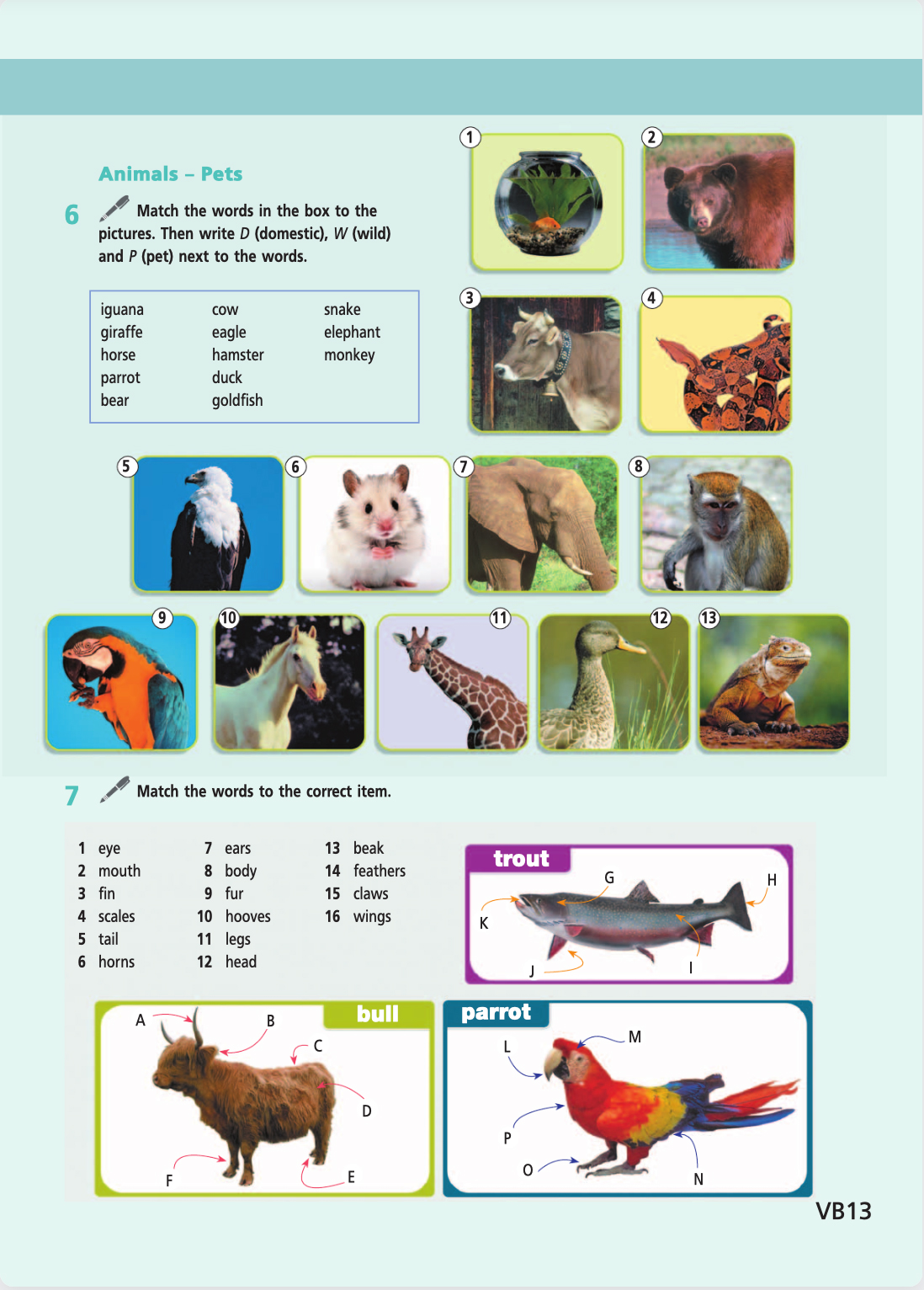 Английский язык 5 класс учебник Баранова, Дули страница 133. Год 2023.