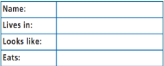 Английский язык 5
класс учебник Баранова, Дули страница 60, номер 4. Год 2023.