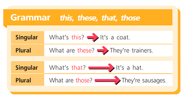 Учебник Костюк, Колоницкая 1 часть. Английский язык 5 класс страница 10, номер 3.
