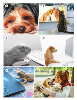 Учебник Костюк, Колоницкая 1 часть. Английский язык 5 класс страница 36, номер 1.