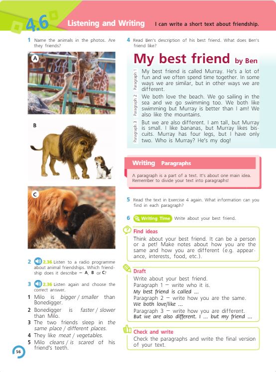 Учебник Костюк, Колоницкая 1 часть. Английский язык 5 класс страница 56.