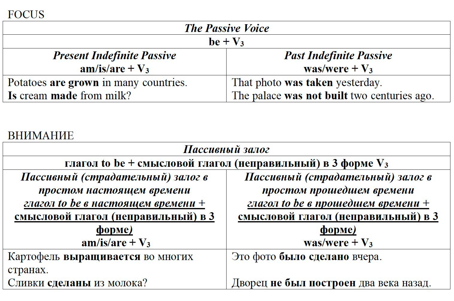 Учебник StudentsBook по английскому языку 6 класс, страница 31. Афанасьева, Михеева, Баранова. 1 часть. 2023 год