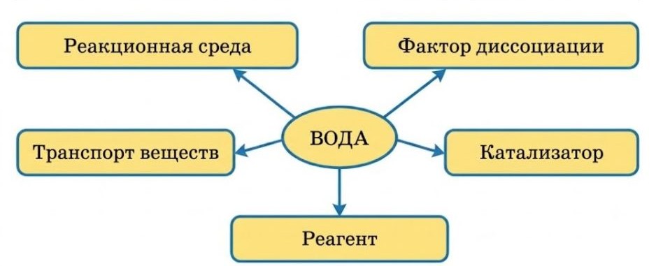 Химия 11 класс. Габриелян. Страница 144. 2022 год. 