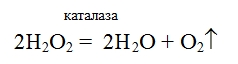 Химия 9 класс, учебник Габриелян, Остроумов, Сладков. Страница 18. 2026 год.