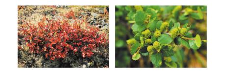 Учебник Александрова. Литературное чтение 4 класс страница 105, номер 1. 2023 год.