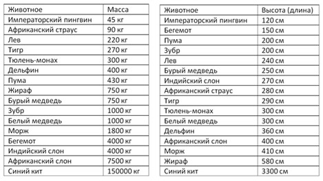 Пояснение к заданию 1-6