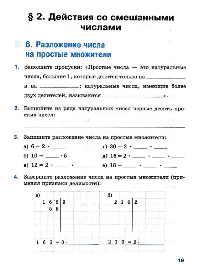Страница 19 Рабочая тетрадь Ткачёва (Виленкин) Математика 6 класс