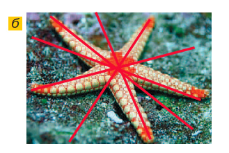 Математика 6 класс учебник Виленкин, Жохов - 1 часть Номер 3.130