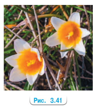 Математика 6 класс учебник Виленкин, Жохов - 1 часть Номер 3.155