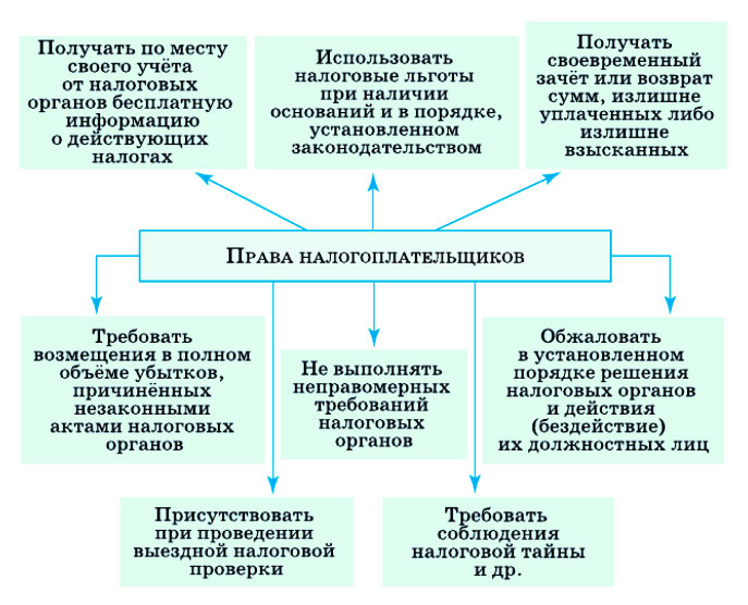 Картинка из учебника по обществознанию 10 класс. Страница 190, рисунок 1. Боголюбов, Лазебникова. 2024 год