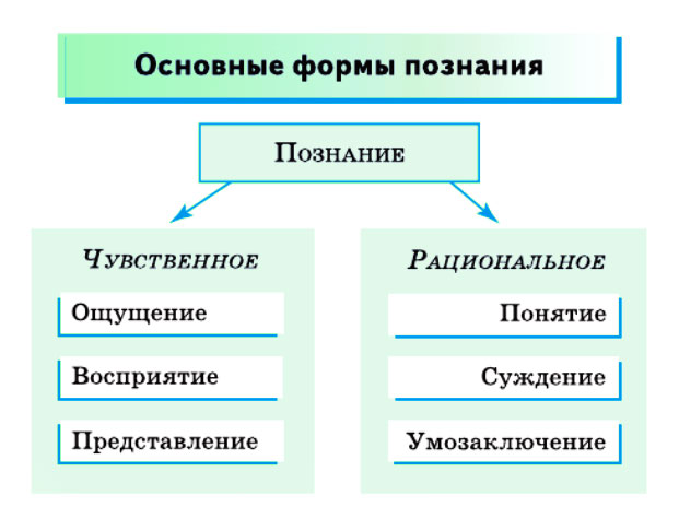 Картинка из учебника по обществознанию 10 класс. Страница 52, рисунок 1. Боголюбов, Лазебникова. 2024 год