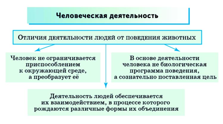 Картинка из учебника по обществознанию 10 класс. Страница 8, рисунок 1. Боголюбов, Лазебникова. 2024 год