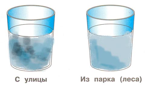 Рабочая тетрадь 1 часть. 1 класс - Окружающий мир. Плешаков. Дневник наблюдейний. Страница 10. Номер 8 окружающий мир 1 класс рабочая тетрадь 1 часть дневник наблюдений Плешаков страница 10. Номер 8