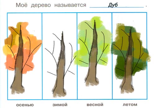 Рабочая тетрадь 1 часть. 1 класс - Окружающий мир. Плешаков. Дневник наблюдейний. Страница 7. Номер 5 окружающий мир 1 класс рабочая тетрадь 1 часть дневник наблюдений Плешаков страница 7. Номер 5