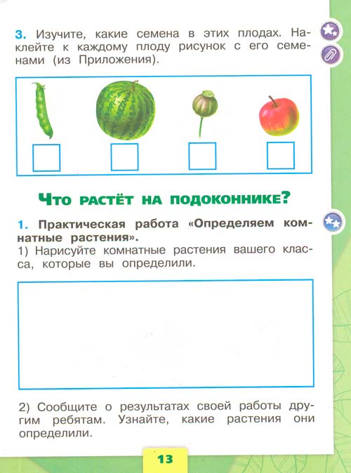 Рабочая тетрадь по окружающему миру 1 класс, Плешаков - 1 часть страница 13 рабочая тетрадь по окружающему миру 1 класс, Плешаков - 1 часть страница 13