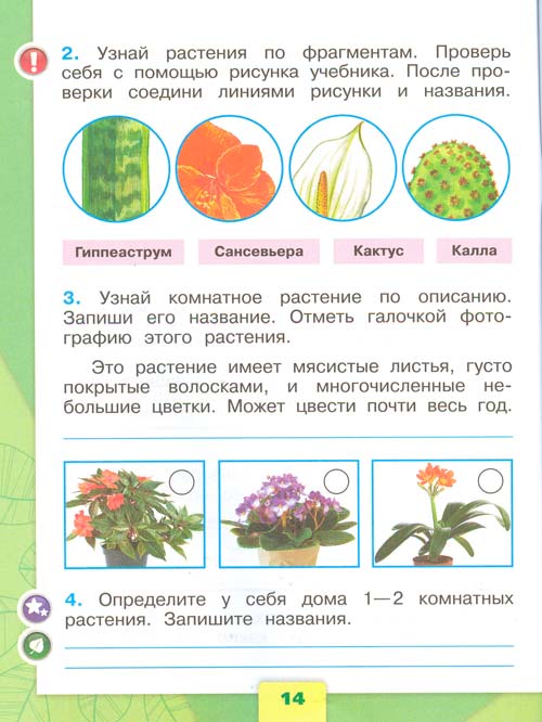 Рабочая тетрадь по окружающему миру 1 класс, Плешаков - 1 часть страница 14 рабочая тетрадь по окружающему миру 1 класс, Плешаков - 1 часть страница 14