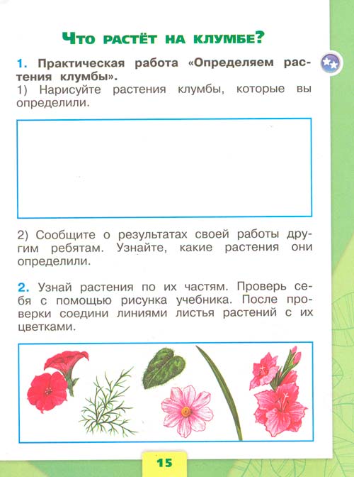 Рабочая тетрадь по окружающему миру 1 класс, Плешаков - 1 часть страница 15 рабочая тетрадь по окружающему миру 1 класс, Плешаков - 1 часть страница 15