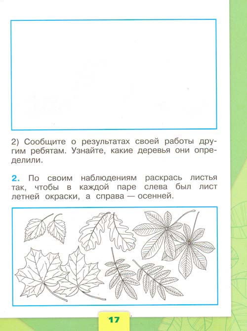 Рабочая тетрадь по окружающему миру 1 класс, Плешаков - 1 часть страница 17 рабочая тетрадь по окружающему миру 1 класс, Плешаков - 1 часть страница 17