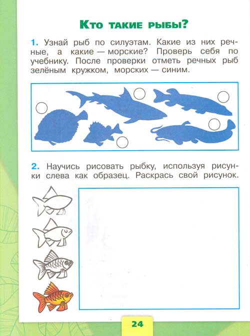 Рабочая тетрадь по окружающему миру 1 класс, Плешаков - 1 часть страница 24 рабочая тетрадь по окружающему миру 1 класс, Плешаков - 1 часть страница 24