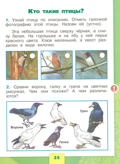 Рабочая тетрадь по окружающему миру 1 класс, Плешаков - 1 часть страница 25 рабочая тетрадь по окружающему миру 1 класс, Плешаков - 1 часть страница 25