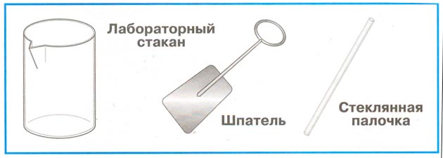 Рабочая тетрадь 1 часть. 1 класс - Окружающий мир. Плешаков. Страница 40. Номер 2 окружающий мир 1 класс рабочая тетрадь 1 часть Плешаков страница 40. Номер 2