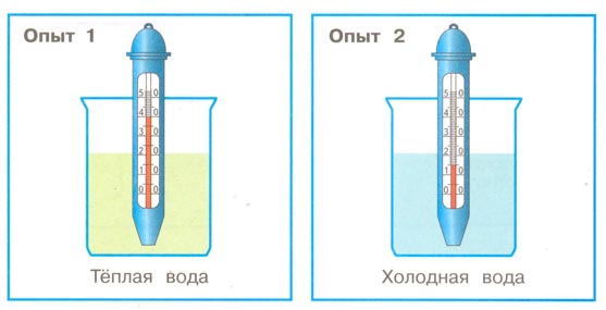 Рабочая тетрадь 1 часть. 1 класс - Окружающий мир. Плешаков. Страница 42. Номер 1 окружающий мир 1 класс рабочая тетрадь 1 часть Плешаков страница 42. Номер 1