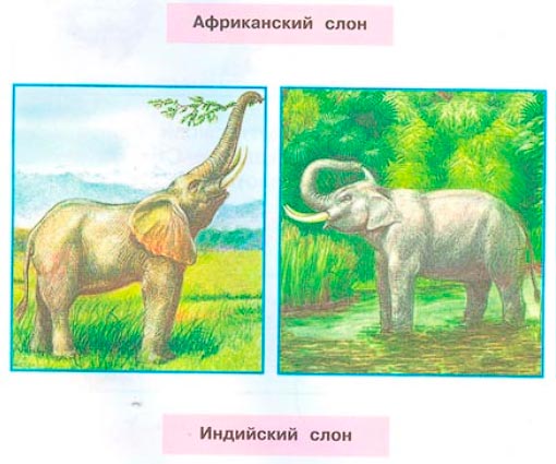 Рабочая тетрадь 2 часть. 1 класс - Окружающий мир. Плешаков. Страница 10. Номер 1(2024 год) окружающий мир 1 класс рабочая тетрадь 2 часть Плешаков страница 10. Номер 1(2024 год)