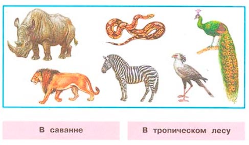 Рабочая тетрадь 2 часть. 1 класс - Окружающий мир. Плешаков. Страница 11. Номер 2(2024 год) окружающий мир 1 класс рабочая тетрадь 2 часть Плешаков страница 11. Номер 2(2024 год)