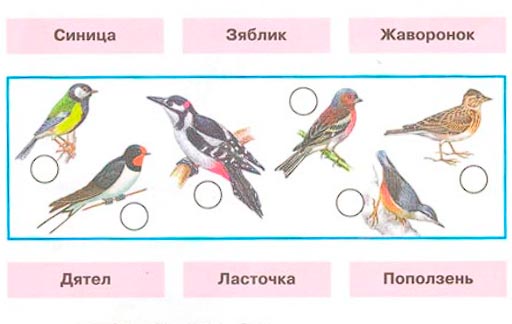 Рабочая тетрадь 2 часть. 1 класс - Окружающий мир. Плешаков. Страница 12. Номер 1(2024 год) окружающий мир 1 класс рабочая тетрадь 2 часть Плешаков страница 12. Номер 1(2024 год)