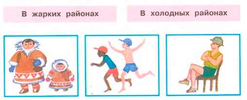 Рабочая тетрадь 2 часть. 1 класс - Окружающий мир. Плешаков. Страница 13. Номер 1(2024 год) окружающий мир 1 класс рабочая тетрадь 2 часть Плешаков страница 13. Номер 1(2024 год)