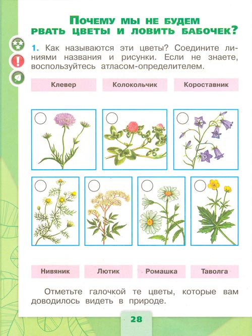 Рабочая тетрадь по окружающему миру 1 класс, Плешаков - 2 часть страница 28(2024 год) рабочая тетрадь по окружающему миру 1 класс, Плешаков - 2 часть страница 28(2024 год)