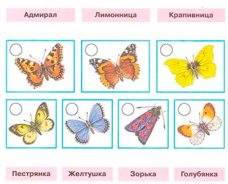 Рабочая тетрадь 2 часть. 1 класс - Окружающий мир. Плешаков. Страница 29. Номер 2(2024 год) окружающий мир 1 класс рабочая тетрадь 2 часть Плешаков страница 29. Номер 2(2024 год)