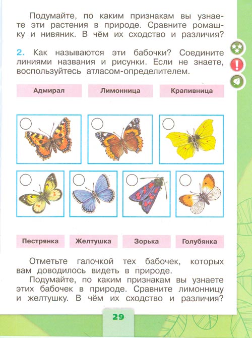 Рабочая тетрадь по окружающему миру 1 класс, Плешаков - 2 часть страница 29(2024 год) рабочая тетрадь по окружающему миру 1 класс, Плешаков - 2 часть страница 29(2024 год)