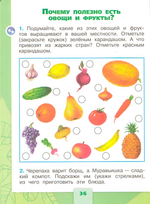 Рабочая тетрадь по окружающему миру 1 класс, Плешаков - 2 часть страница 36(2024 год) рабочая тетрадь по окружающему миру 1 класс, Плешаков - 2 часть страница 36(2024 год)