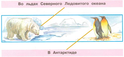 окружающий мир 1 класс рабочая тетрадь 2 часть Плешаков страница 9. Номер 2(2024 год)