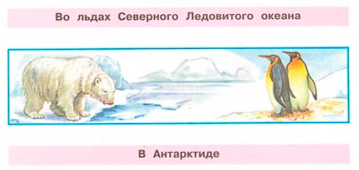 Рабочая тетрадь 2 часть. 1 класс - Окружающий мир. Плешаков. Страница 9. Номер 2(2024 год) окружающий мир 1 класс рабочая тетрадь 2 часть Плешаков страница 9. Номер 2(2024 год)