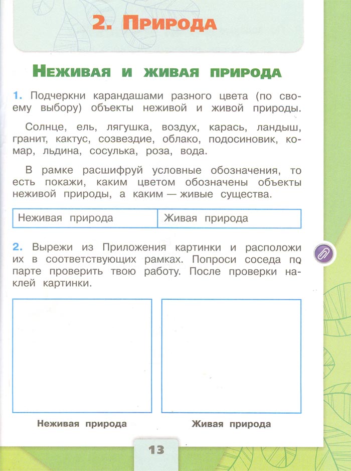 2 класс рабочая тетрадь. Окружающий мир. Плешаков. Страница 13. 1 часть, 2024 год