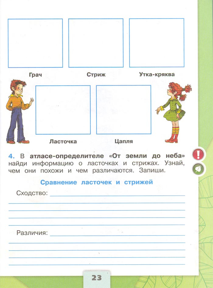 2 класс рабочая тетрадь. Окружающий мир. Плешаков. Страница 23. 1 часть, 2024 год