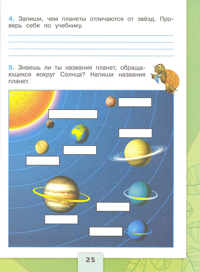 2 класс рабочая тетрадь. Окружающий мир. Плешаков. Страница 25. 1 часть, 2024 год