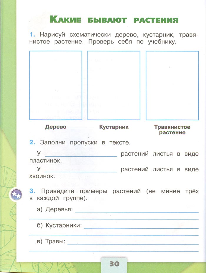 2 класс рабочая тетрадь. Окружающий мир. Плешаков. Страница 30. 1 часть, 2024 год