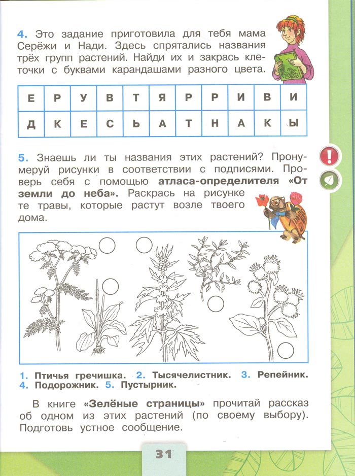 2 класс рабочая тетрадь. Окружающий мир. Плешаков. Страница 31. 1 часть, 2024 год