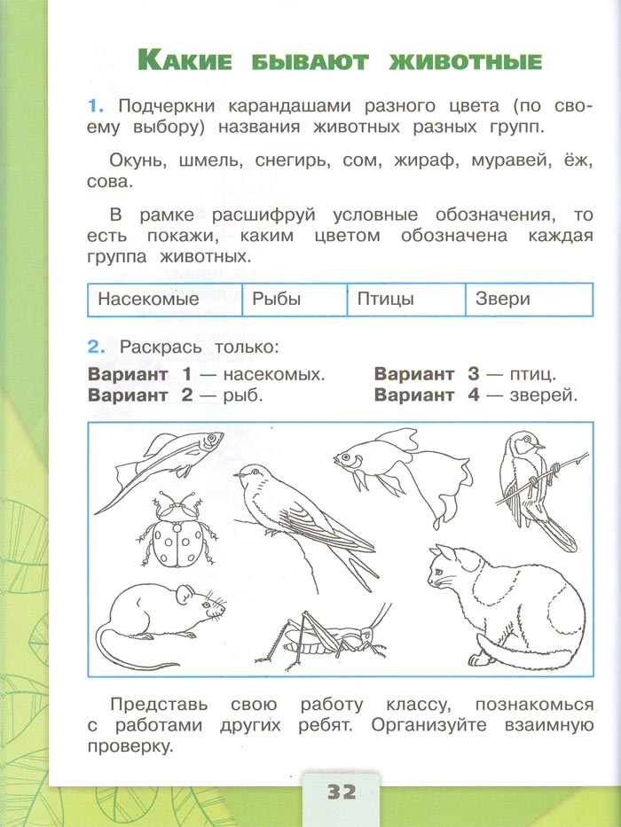 2 класс рабочая тетрадь. Окружающий мир. Плешаков. Страница 32. 1 часть, 2024 год