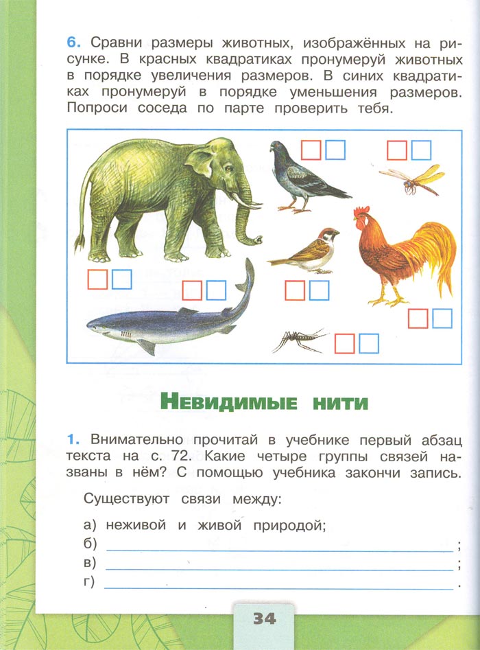 2 класс рабочая тетрадь. Окружающий мир. Плешаков. Страница 34. 1 часть, 2024 год