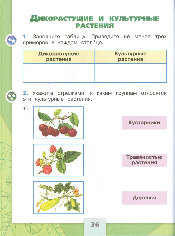 2 класс рабочая тетрадь. Окружающий мир. Плешаков. Страница 36. 1 часть, 2024 год