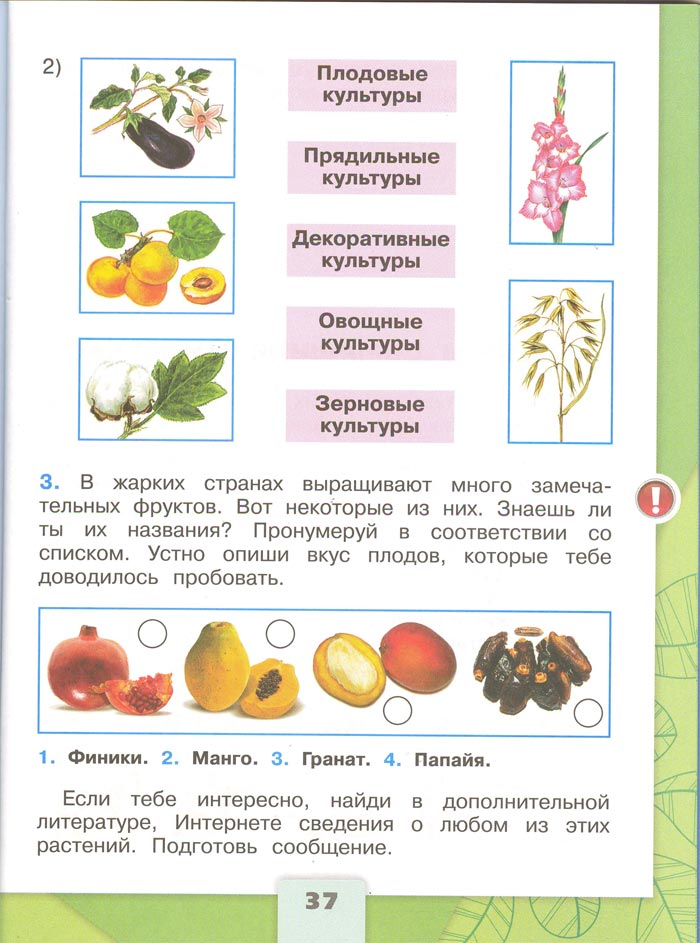2 класс рабочая тетрадь. Окружающий мир. Плешаков. Страница 37. 1 часть, 2024 год