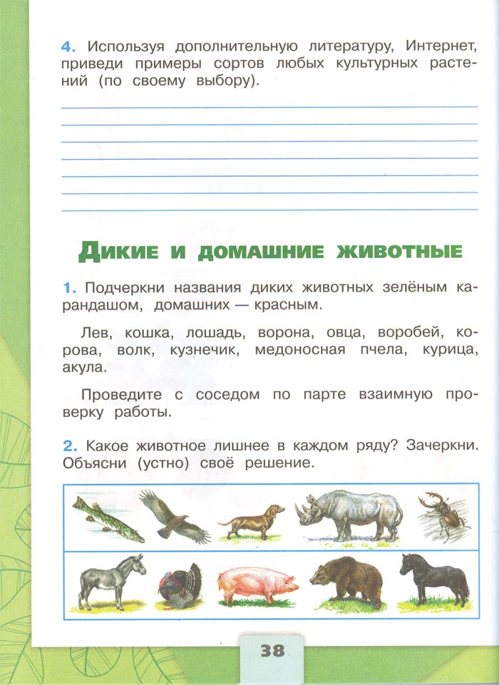 2 класс рабочая тетрадь. Окружающий мир. Плешаков. Страница 38. 1 часть, 2024 год
