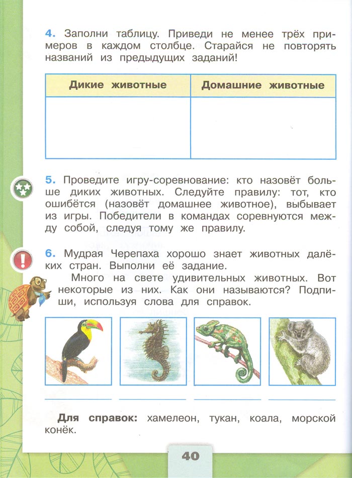 2 класс рабочая тетрадь. Окружающий мир. Плешаков. Страница 40. 1 часть, 2024 год