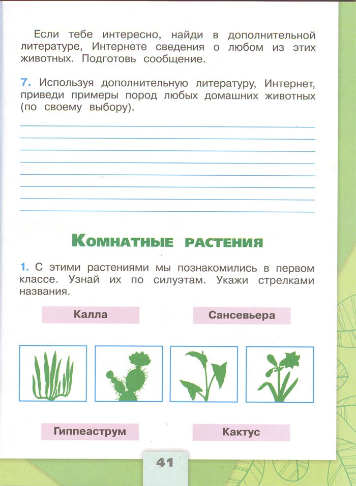 2 класс рабочая тетрадь. Окружающий мир. Плешаков. Страница 41. 1 часть, 2024 год